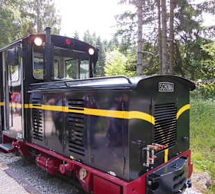 Der kleine Zug durch das Museum
