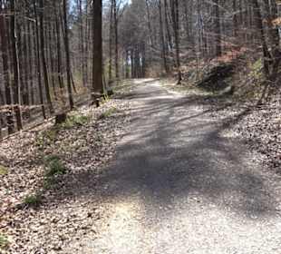 Waldkulturerbe Neuweiler Viehweide