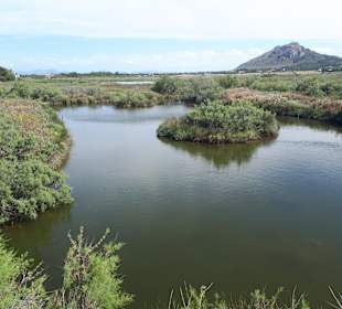 Naturpark S'Albufera