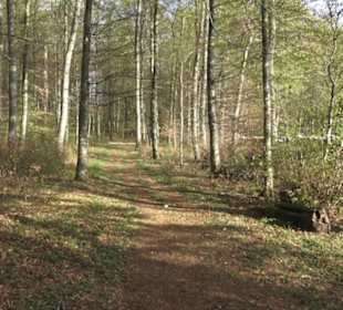 Wanderweg Hochgehswiggert