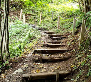 Holztreppen auf dem Weg 