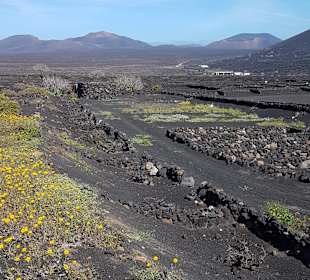 Wandern Puerto Calero