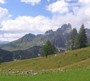 Bischofsmütze von der Walehenhütte