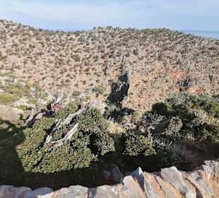 Wanderweg zum Kloster Katholiko in die Schlucht
