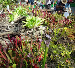 Stadtrundgang Sydney