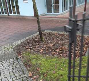 Friedhof Oferdingen 'Zum Wäldle'
