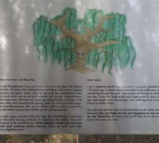 Hinweisschild zum Baum