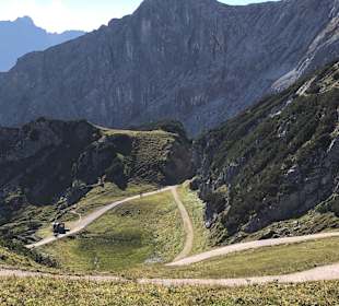 Wandern Kochelbergalm - Aulealm