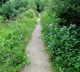 Spaziergang durch das Schönebecker Auetal