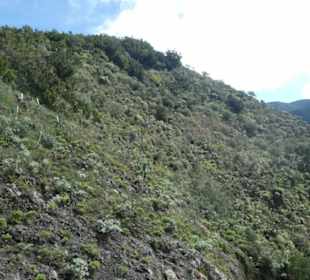 Wanderung von Cruz Del Carmen nach Las Carboneras