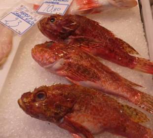 Unterwegs auf dem schönen Markt von Santa Cruz