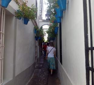Calleja de las Flores