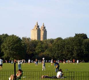 Large greens at Central Park Manhattan
