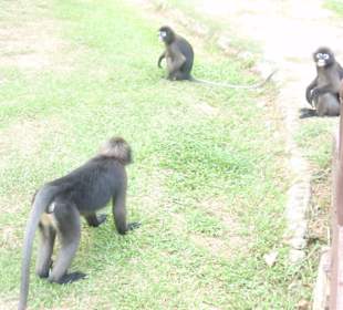 Marine National Park