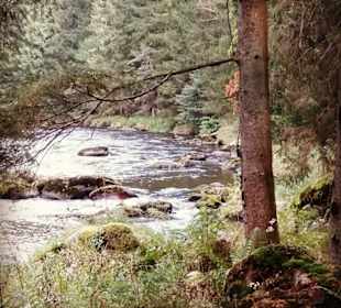 Einfach nur eine Natur-tour
