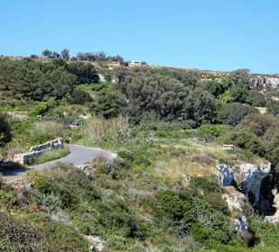 Binġemma