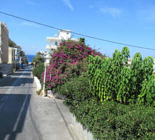 Mit dem Hop Bus in Rhodos Stadt unterwegs
