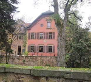Ortskern Deidesheim Schloss