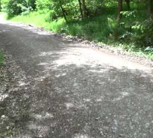 Naturpark Schönbuch