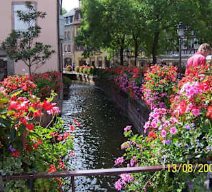 Colmar