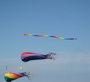 Drachen-Fliegen