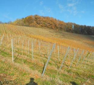 Blick auf den Korber Kopf