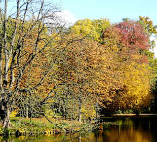 Herbstspaziergang durch den Bürgerpark Bremen