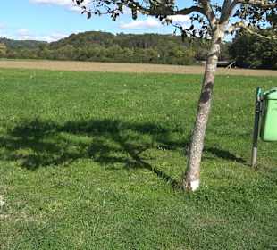 Schaukelweg an der Donau