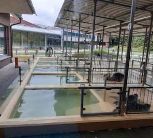 Seehundstation Norddeich in Norden,