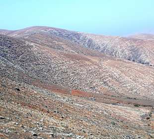 Inselrundfahrt Tagesausflug