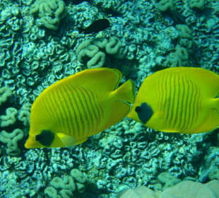 Am Strand unter Wasser
