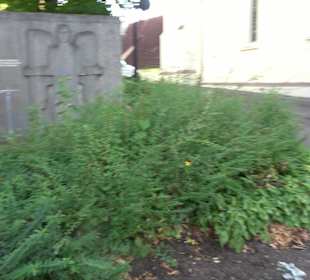 Kriegerdenkmal