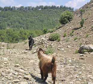 Unterwegs zum Taurusgebirge