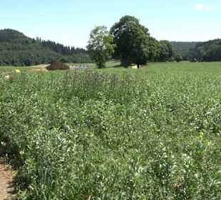 Naturerlebnispfad Sternberg
