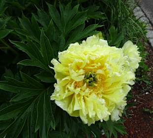 Villengärten Überlingen