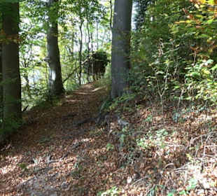 Premiumwanderweg hochgehkeltert Neuffen