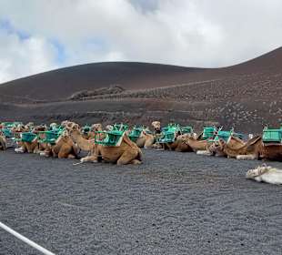 Nationalpark Timanfaya (Feuerberge)