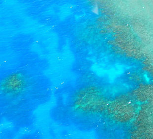 Blick auf das Reef