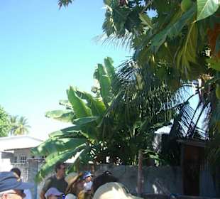 Einheimischeninsel Himmafushi billiger leben