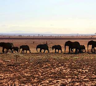 Tsavo West 