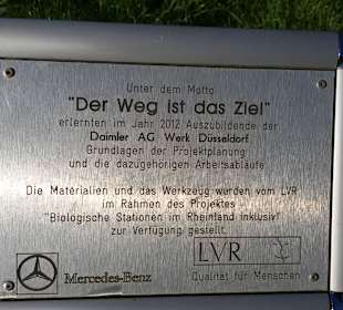 Im Bereich des NABU Hauses