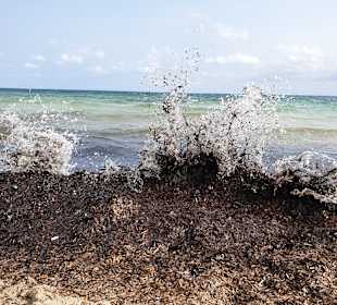 Strand Cala Millor