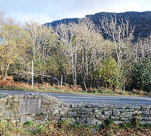 Park Narodowy Killarney