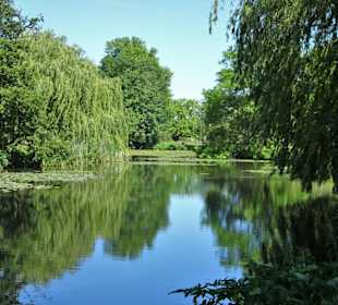 Eindrücke aus dem Alsterpark an der Außenalster