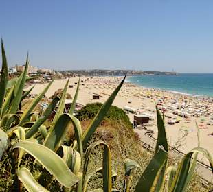 Die Praia da Rocha nach Osten