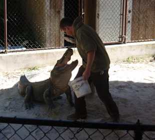 Everglades Safari Park