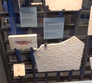 Jura-Museum