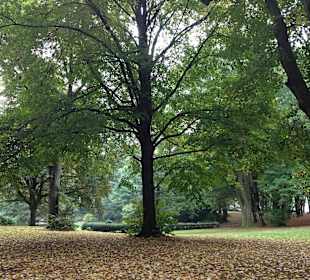 Nahegelegener Farwick-Park