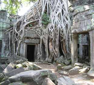 Ta Phrom Tempel