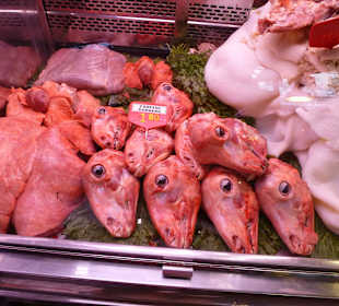 Nicht jedermans Sache